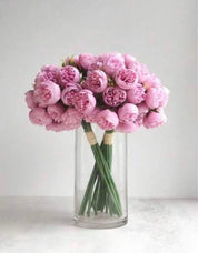 🌹 Rosa Floral – Charme e Delicadeza