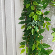 Guirlanda de Ruscus Italiano em Seda