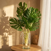 Costela de Adão Artificial Premium — Folhas Tropicais Toque Real 65cm