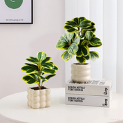 Galhos Artificiais Ficus Natural