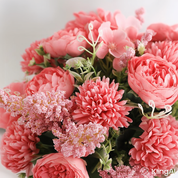 Arranjo Elegance Rose Pink izaraflores