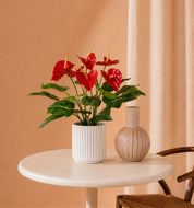 Antúrio Artificial Premium Vermelho