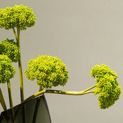 Vaso Decorativo Glass Lux