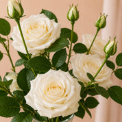 Buquê Floral Ivory Premium para Sala e Decoração