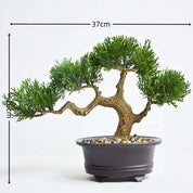 Bonsai Artificial – Pinheiros Realistas – Izara Flores