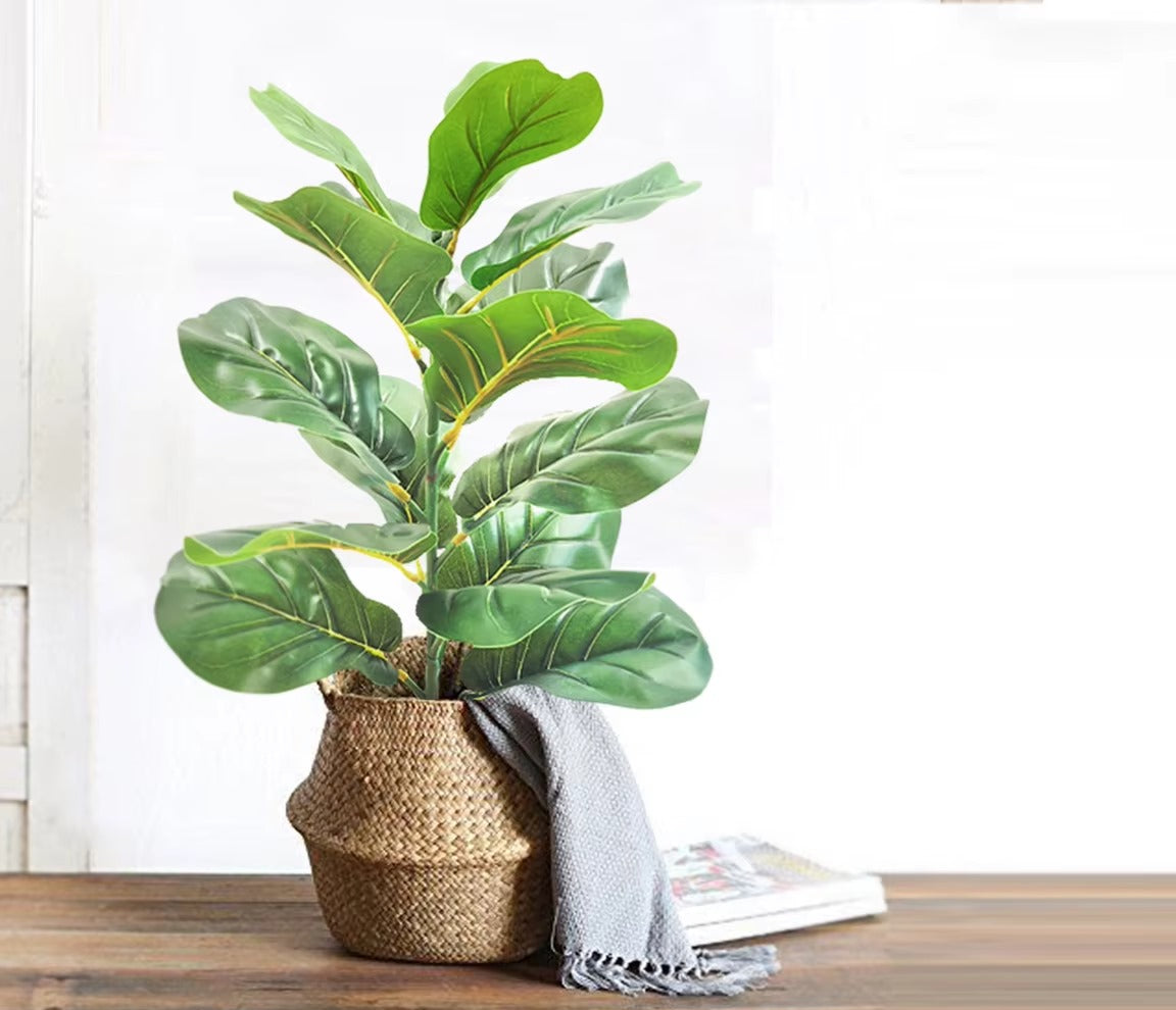 🌿 Planta Ficus Artificial 55cm