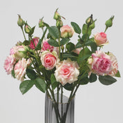 Rosa Vintage – Charme e Delicadeza em Cada Pétala