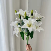 lírios by brancos elegante