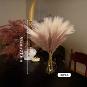 Kit_30_Hastes_Capim_dos_Pampas_Bicolor