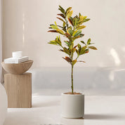 🌿 Planta Artificial Ficus Tons Naturais