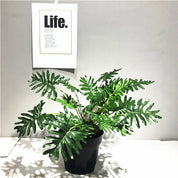 Planta Artificial Monstera Artificial 40cm