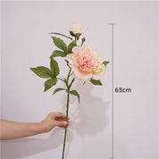 Peônias Champanhe Premium