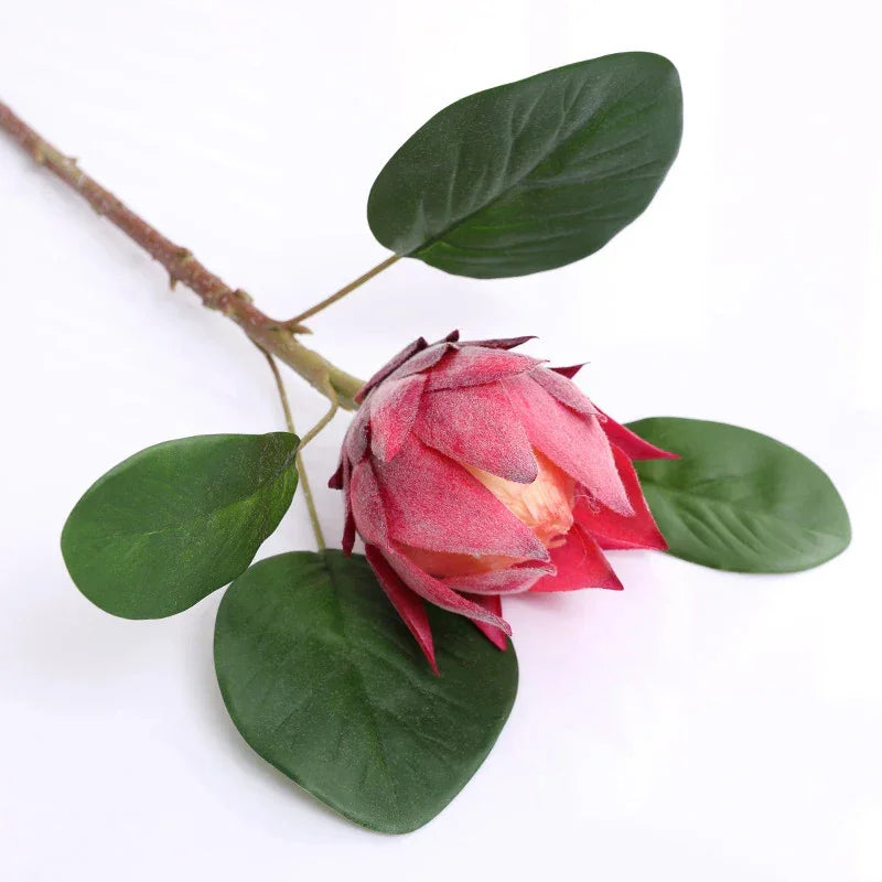 ❤️ Peônias Vermelhas – Encantador e Sofisticado