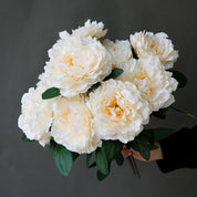 🤍 Peônias Brancas – Izara Flores