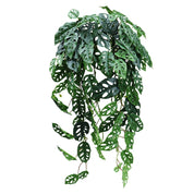 🍃Planta Artificial Pendente Monstera Charme Tropical