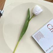 🌷 Tulipas Elegância Natural - 6x unidades