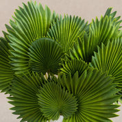 Plantas Artificiais Palmeira em Leque