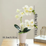 Orquídea Branca Artificial