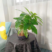 🌿 Planta Artificial Monstera Tropical