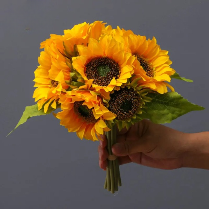 S46647433cd66437bb73a96d4452435a5q_cleanup.png