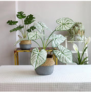 Planta Artificial costas de tartaruga