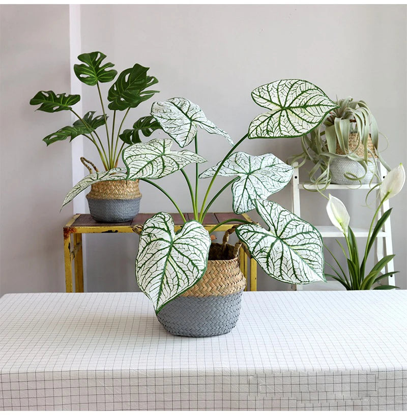 Planta Artificial costas de tartaruga