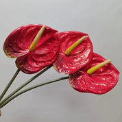 Flores de Anthurium Artificiais – Design Realista e Elegância Tropical