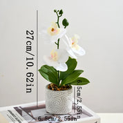 🌼Mini Orquídea Harmonia