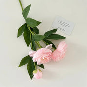 💐 Arranjo Peônias – Elegância e Afeto