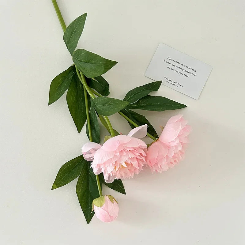 💐 Arranjo Peônias – Elegância e Afeto