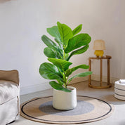 🌿 Planta Ficus Artificial 55cm