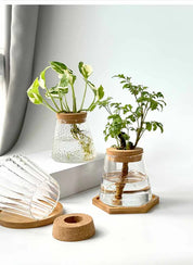 Vaso Nordic Hidropônico izaraflores