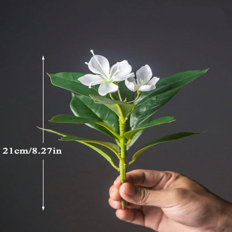 kit 3 Ficus Magnolia Branca