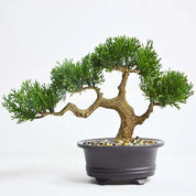 Bonsai Artificial – Pinheiros Realistas – Izara Flores