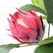 ❤️ Peônias Vermelhas – Encantador e Sofisticado