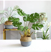 Planta Artificial Monstera Design Natural