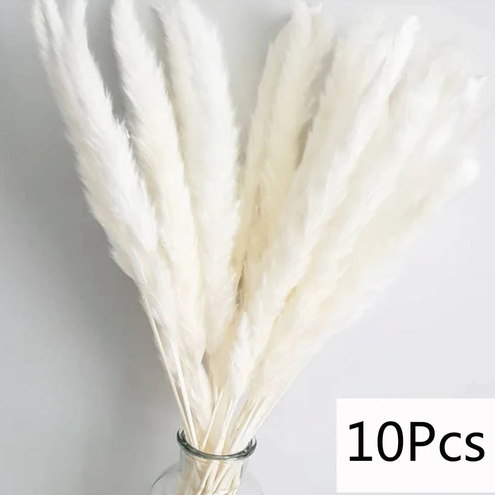 Capim dos Pampas Artificial Branco Premium – Kit com 10 Hastes