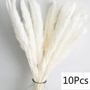 Capim dos Pampas Artificial Branco Premium – Kit com 10 Hastes