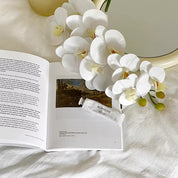 orquídea branca artificial elegante meu abrigo charmoso