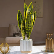 Planta Artificial Sansevieria – 3 Unidades, Verde Elegante para Sua Decoração