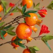 🍊 Planta Artificial Romã Tons Naturais – Aconchego e Estilo