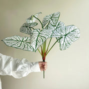 Planta Artificial costas de tartaruga