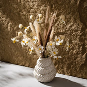 Vaso Cerâmica Concha Natural