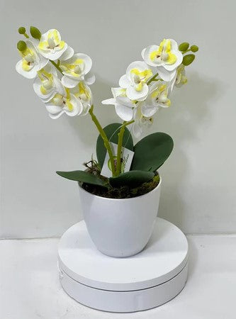 Orquídea Branca Artificial com Vaso