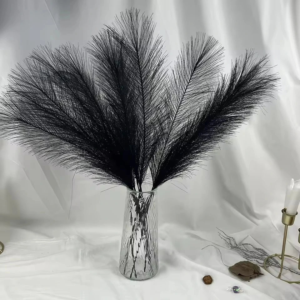 capim-do-pampas-izaraflores.webp