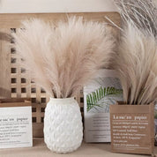 Capim dos Pampas Branco Artificial Premium – Boho para Decoração | IzaraFlores