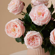 Rosas Austin Rosa Eterna Premium
