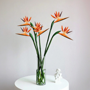 Flor do Paraíso Artificial Laranja — Kit 6 Hastes | Izara Flores