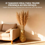 Kit Capim dos Pampas Artificial Plumas Naturais Secas Premium