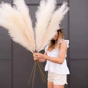 Kit Capim dos Pampas Artificial Plumas Naturais Secas Premium